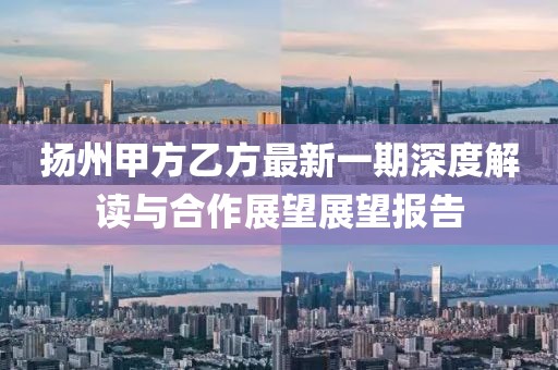 揚(yáng)州甲方乙方最新一期深度解讀與合作展望展望報(bào)告