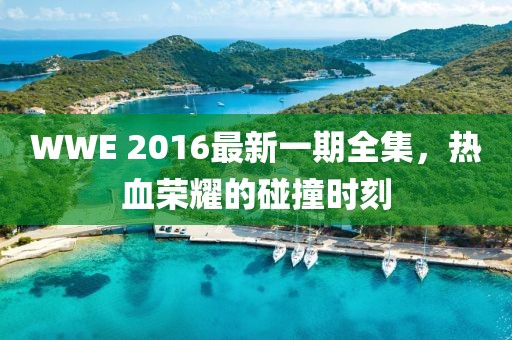 WWE 2016最新一期全集,熱血榮耀的碰撞時(shí)刻