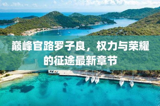 巔峰官路羅子良,權力與榮耀的征途最新章節