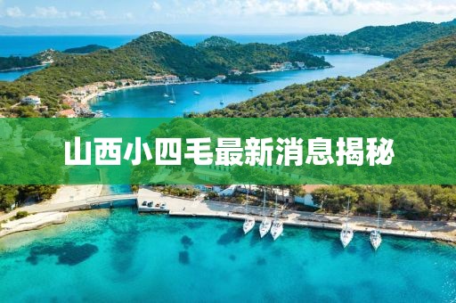 山西小四毛最新消息揭秘