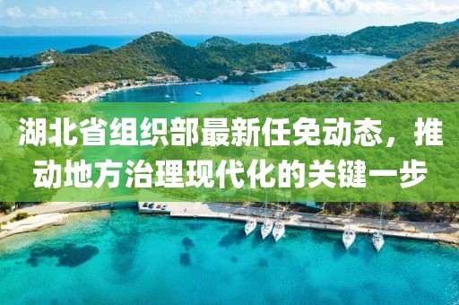 湖北省組織部最新任免動態,推動地方治理現代化的關鍵一步