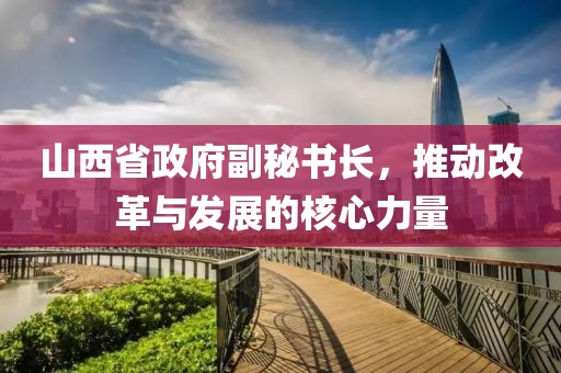 山西省政府副秘書長,推動改革與發展的核心力量