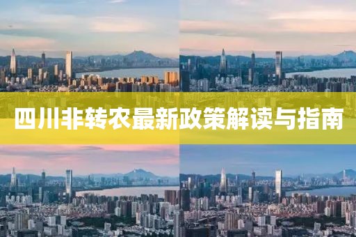 四川非轉農最新政策解讀與指南