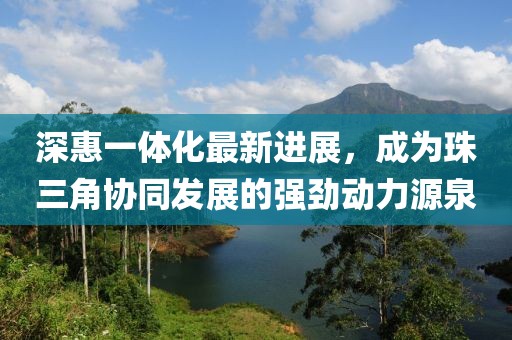 深惠一體化最新進展,成為珠三角協同發展的強勁動力源泉