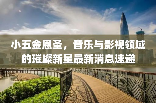 小五金恩圣,音樂與影視領域的璀璨新星最新消息速遞