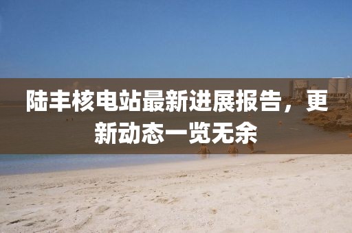 陸豐核電站最新進展報告,更新動態一覽無余