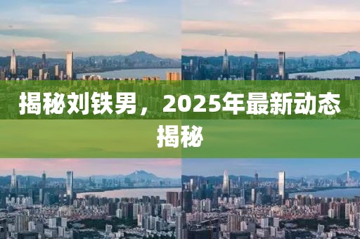 揭秘劉鐵男，2025年最新動態揭秘