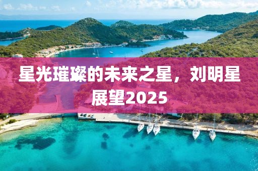 星光璀璨的未來之星,劉明星展望2025
