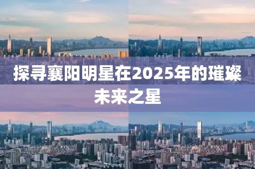 探尋襄陽明星在2025年的璀璨未來之星