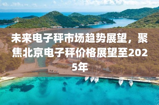 未來電子秤市場趨勢展望,聚焦北京電子秤價格展望至2025年