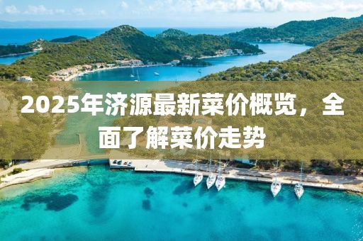 2025年濟源最新菜價概覽,全面了解菜價走勢