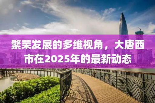 繁榮發展的多維視角,大唐西市在2025年的最新動態