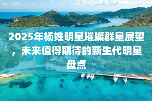 2025年楊姓明星璀璨群星展望,未來值得期待的新生代明星盤點(diǎn)