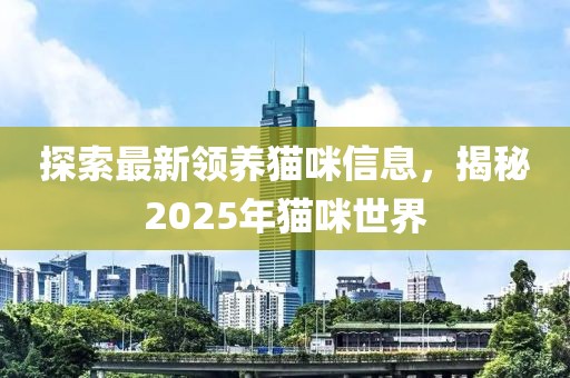 探索最新領養貓咪信息，揭秘2025年貓咪世界