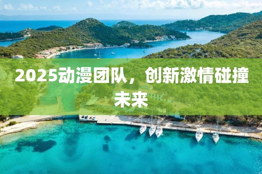 2025動漫團隊,創新激情碰撞未來
