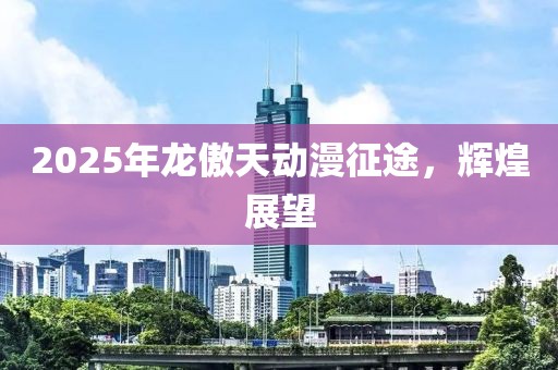 2025年龍傲天動漫征途,輝煌展望
