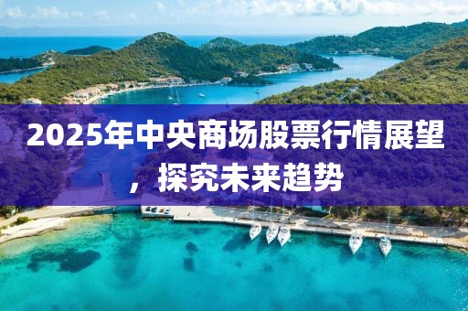 2025年中央商場股票行情展望,探究未來趨勢