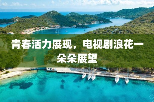 青春活力展現,電視劇浪花一朵朵展望