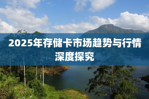 2025年存儲卡市場趨勢與行情深度探究
