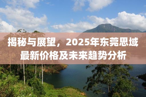 揭秘與展望，2025年東莞思域最新價格及未來趨勢分析