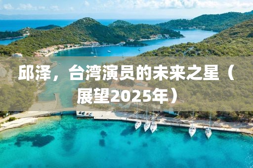 邱澤，臺灣演員的未來之星（展望2025年）