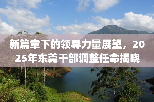 新篇章下的領導力量展望,2025年東莞干部調整任命揭曉