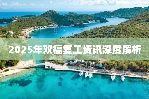 2025年雙福復(fù)工資訊深度解析