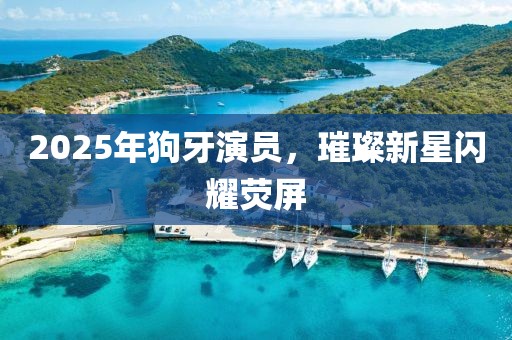 2025年狗牙演員,璀璨新星閃耀熒屏
