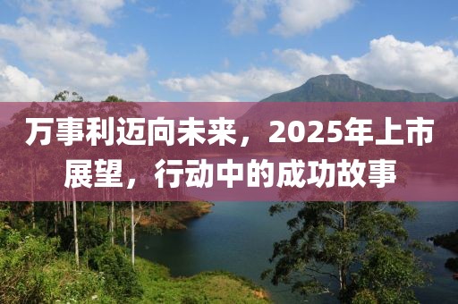 萬(wàn)事利邁向未來(lái),2025年上市展望,行動(dòng)中的成功故事
