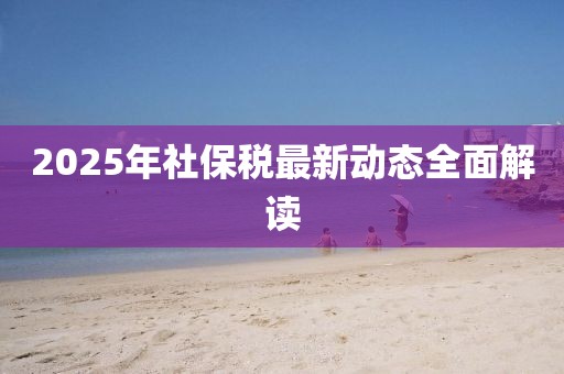 2025年社保稅最新動(dòng)態(tài)全面解讀