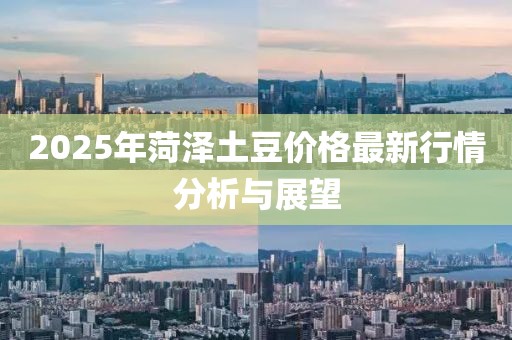 2025年菏澤土豆價格最新行情分析與展望
