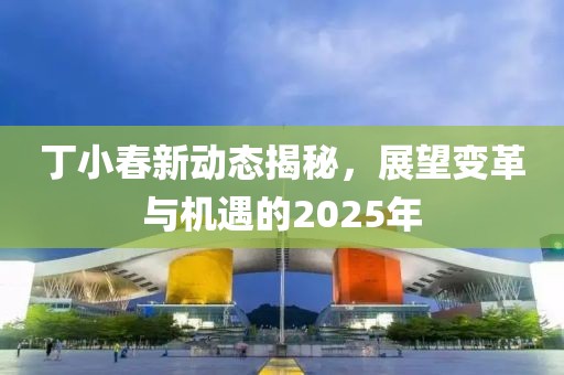 丁小春新動態揭秘，展望變革與機遇的2025年