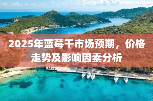 2025年藍(lán)莓干市場預(yù)期,價(jià)格走勢及影響因素分析
