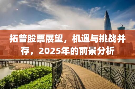 拓普股票展望,機遇與挑戰并存,2025年的前景分析