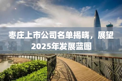 棗莊上市公司名單揭曉,展望2025年發展藍圖