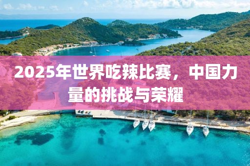 2025年世界吃辣比賽,中國力量的挑戰(zhàn)與榮耀