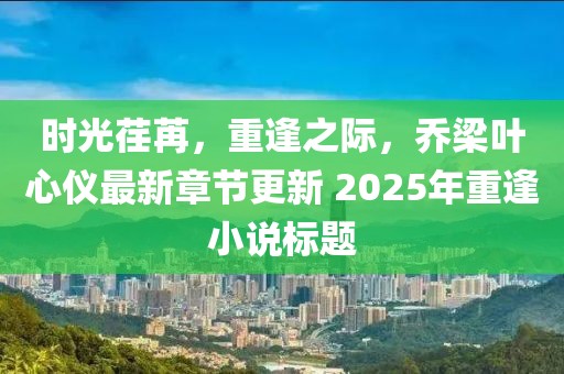 時光荏苒,重逢之際,喬梁葉心儀最新章節更新 2025年重逢小說標題