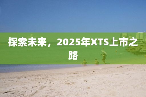 探索未來,2025年XTS上市之路