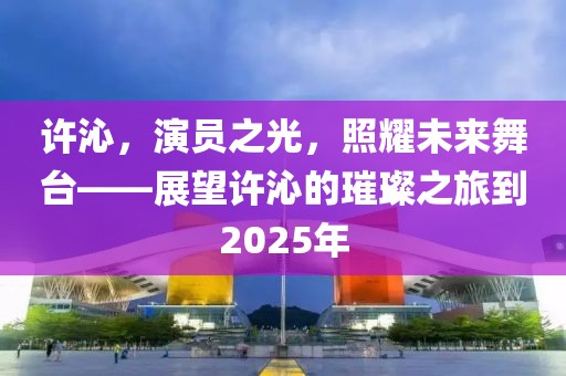 許沁,演員之光,照耀未來舞臺——展望許沁的璀璨之旅到2025年