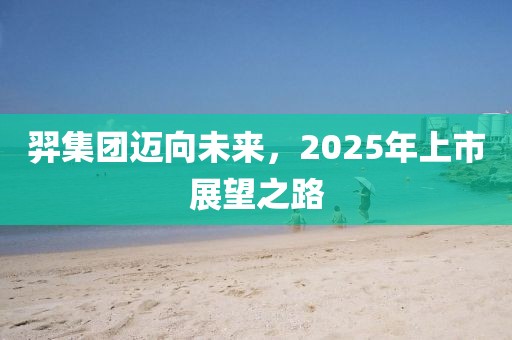 羿集團邁向未來,2025年上市展望之路