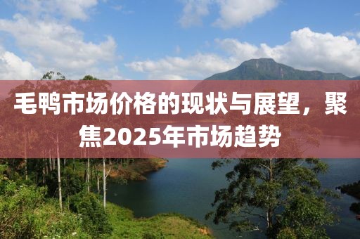 毛鴨市場價格的現(xiàn)狀與展望,聚焦2025年市場趨勢