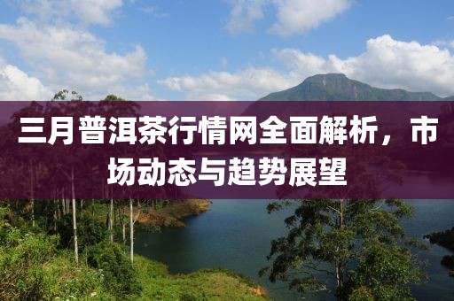 三月普洱茶行情網全面解析,市場動態與趨勢展望