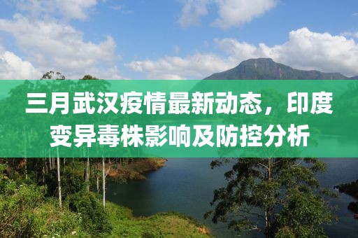 三月武漢疫情最新動(dòng)態(tài),印度變異毒株影響及防控分析