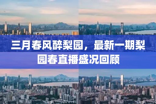 三月春風(fēng)醉梨園,最新一期梨園春直播盛況回顧