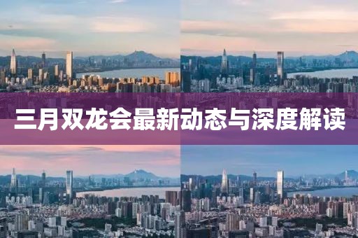 三月雙龍會最新動態(tài)與深度解讀