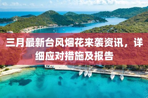 三月最新臺風(fēng)煙花來襲資訊，詳細(xì)應(yīng)對措施及報(bào)告