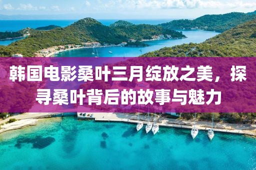韓國(guó)電影桑葉三月綻放之美,探尋桑葉背后的故事與魅力