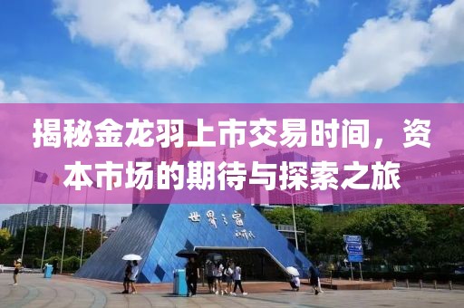 揭秘金龍羽上市交易時間,資本市場的期待與探索之旅