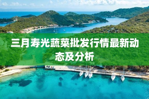 三月壽光蔬菜批發行情最新動態及分析