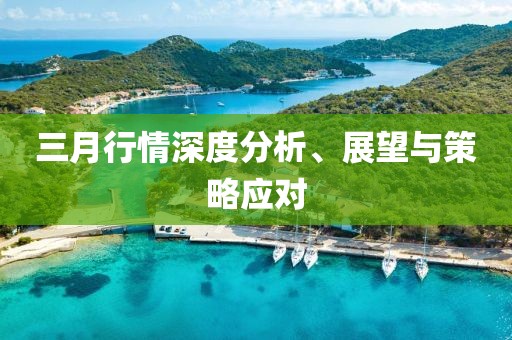 三月行情深度分析、展望與策略應(yīng)對(duì)